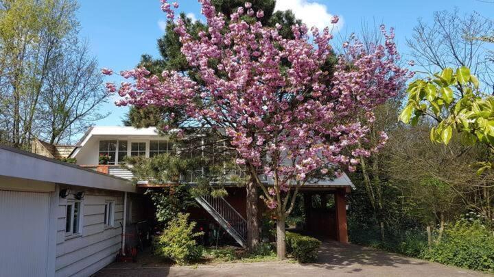Welcome In - Appartement - Valkenisseweg 68 L Biggekerke 'Strand Appartement' 外观 照片